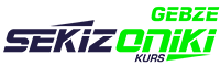 logo sekizoniki renkli 